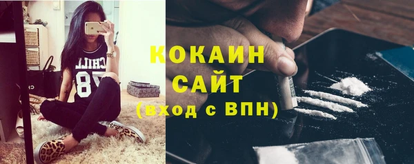 ECSTASY Богородицк