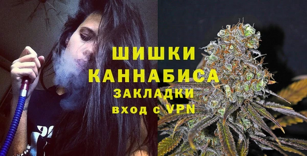 ECSTASY Богородицк