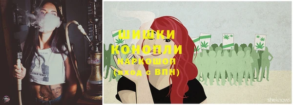 ECSTASY Богородицк
