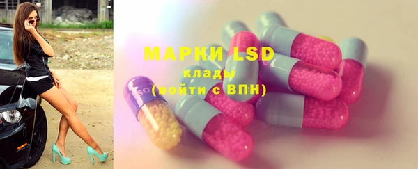 ECSTASY Богородицк