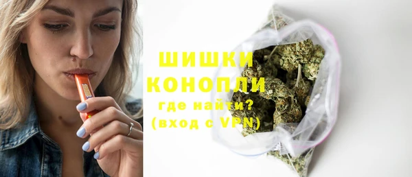 ECSTASY Богородицк