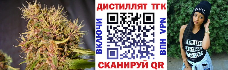 Купить  Волхов  ТГК концентрат 