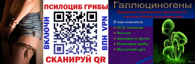 Купить закладки  Волхов  Псилоцибиновые грибы прущие грибы 