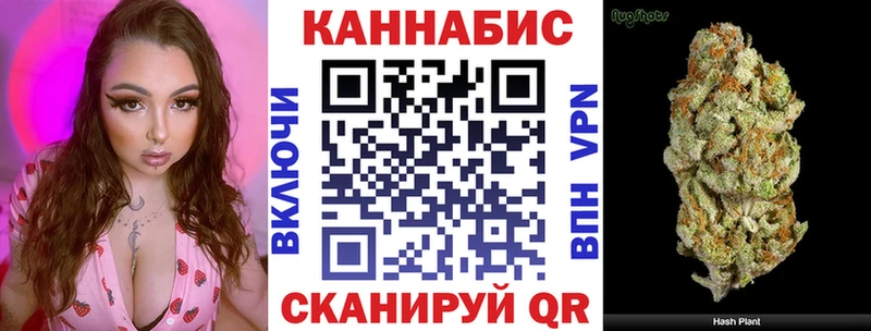 Купить закладки  Волхов  Шишки марихуана White Widow 